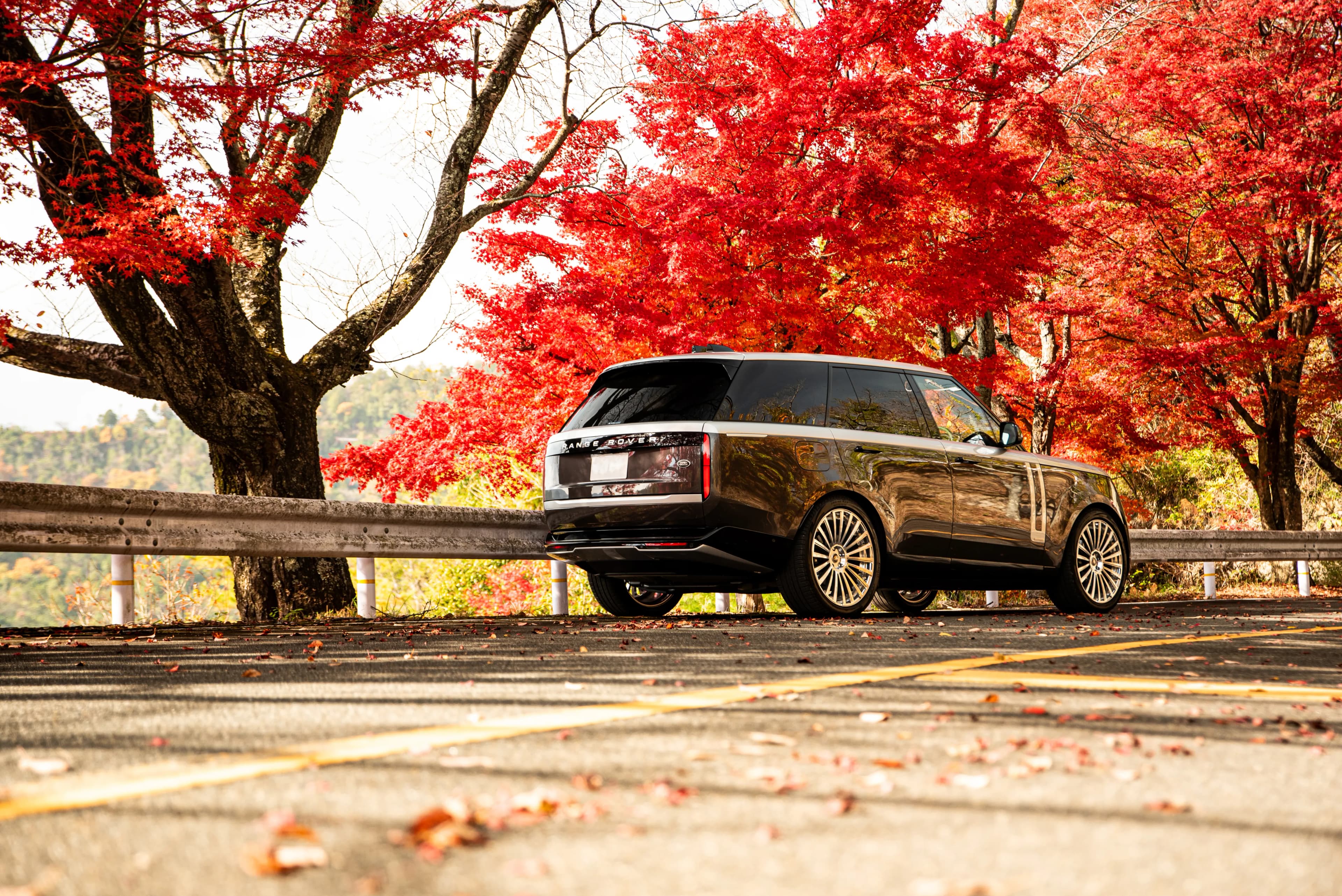 Range Rover Autobiography D300